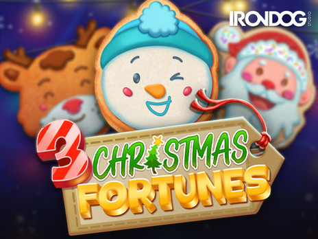 3 Christmas Fortunes бесплатная демо версия