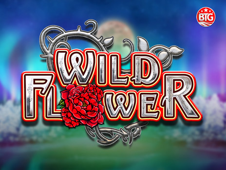 Wild Flower слот в демо режиме